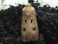 La Double Tache , Le Point d‘Exclamation - Agrotis exclamationis (Noctuidae) (1573)