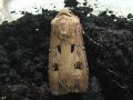 La Double Tache , Le Point d‘Exclamation - Agrotis exclamationis (Noctuidae) (1573)